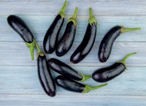 تصویر 4 از قیمت بادمجان قلمی ورامین + خرید باور نکردنی
